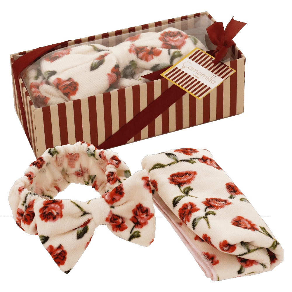 Set spugne gift