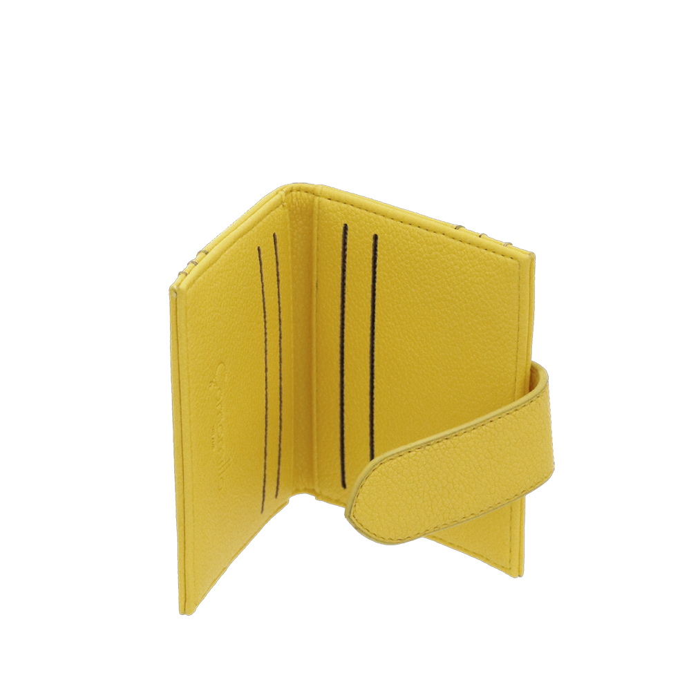 Portacarte Jelly Bag