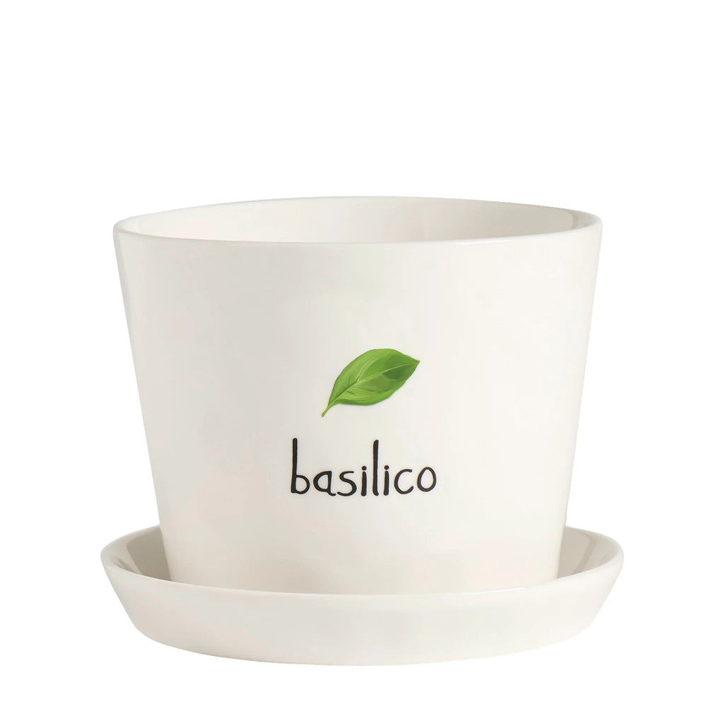 Vaso Basilico con sottovaso