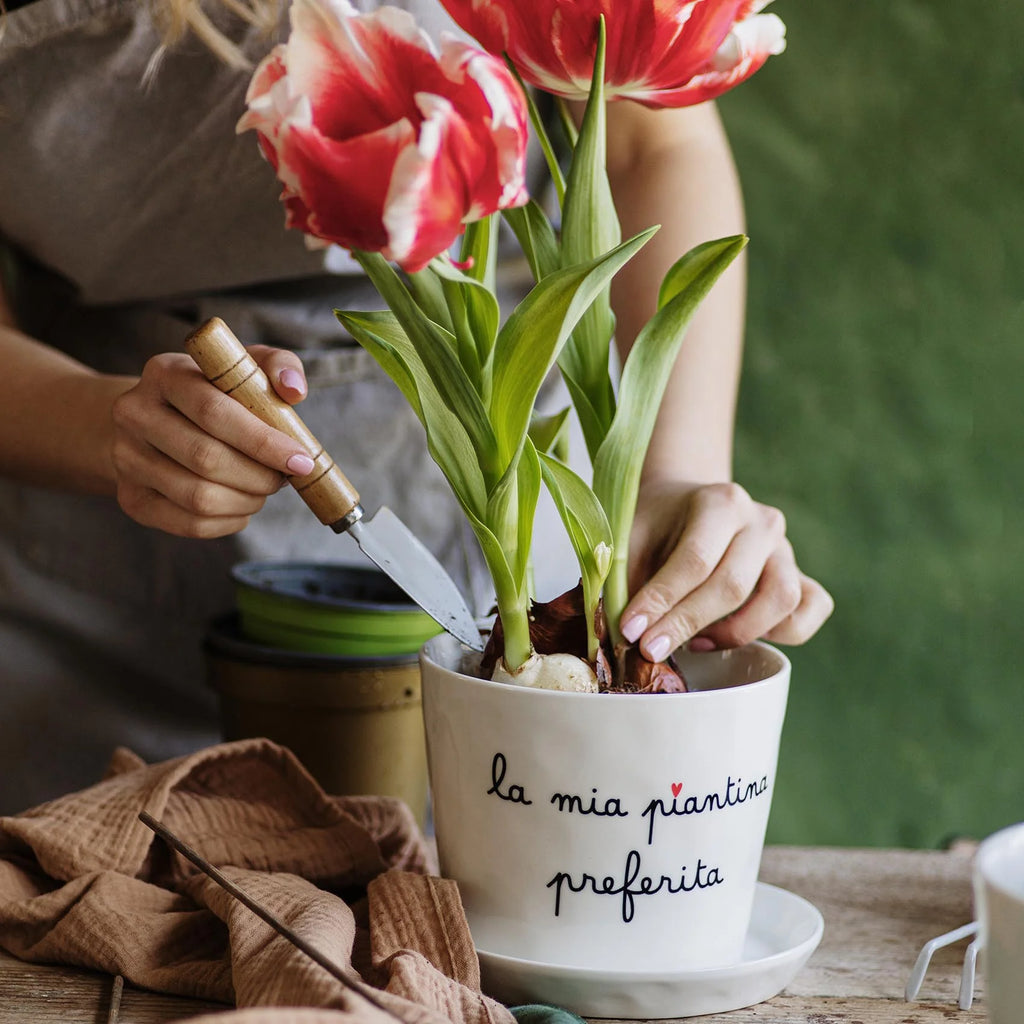 Vaso La mia piantina preferita con sottovaso
