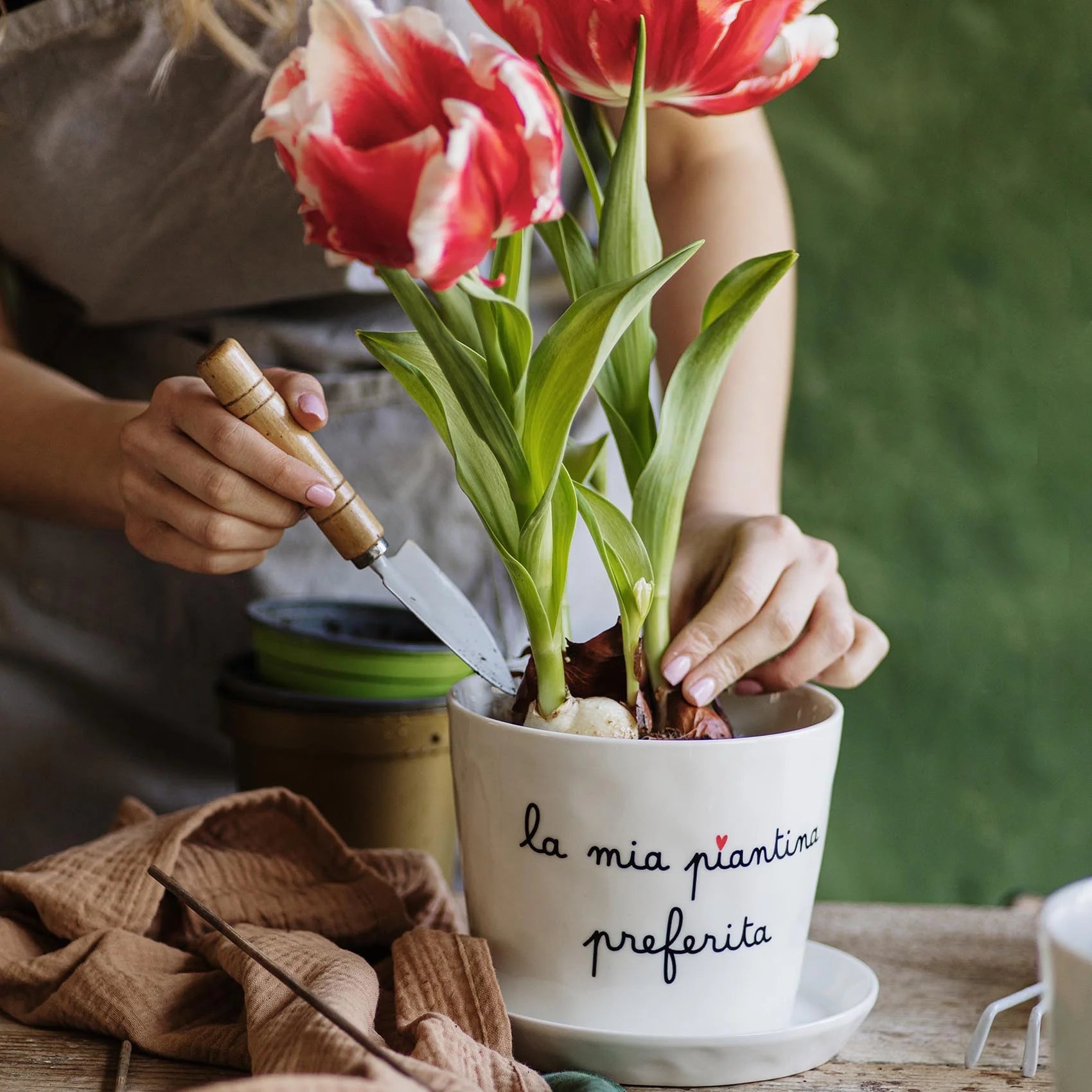Vaso La mia piantina preferita con sottovaso