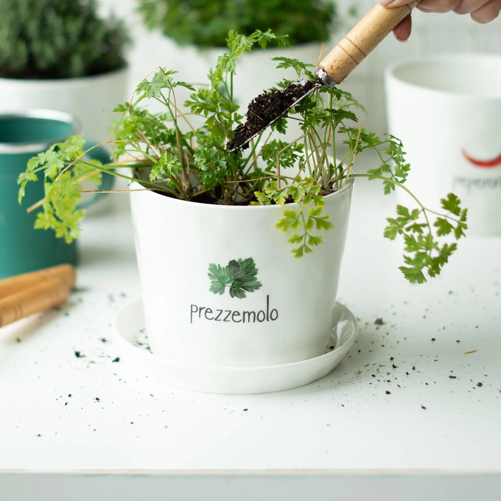 Vaso Prezzemolo con sottovaso