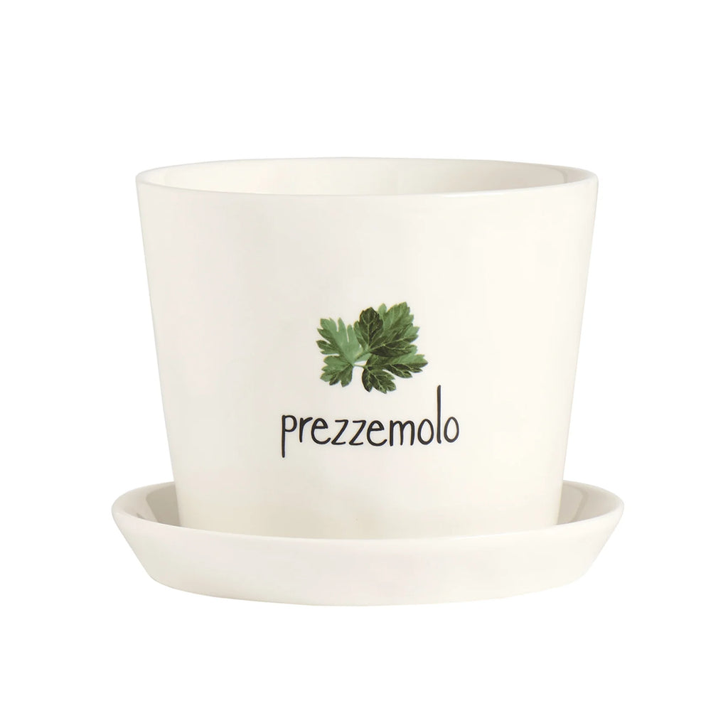 Vaso Prezzemolo con sottovaso