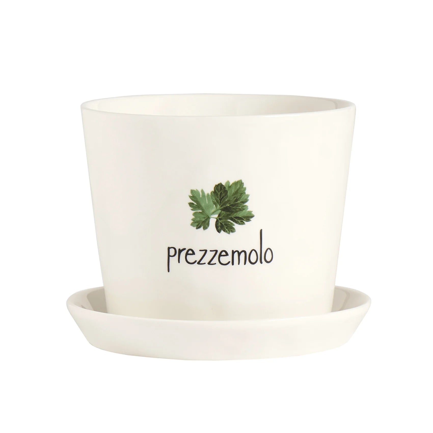 Vaso Prezzemolo con sottovaso