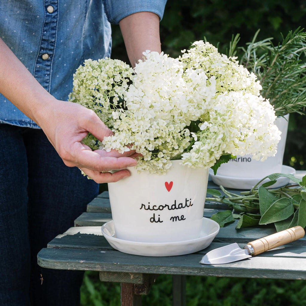 Vaso Ricordati di me