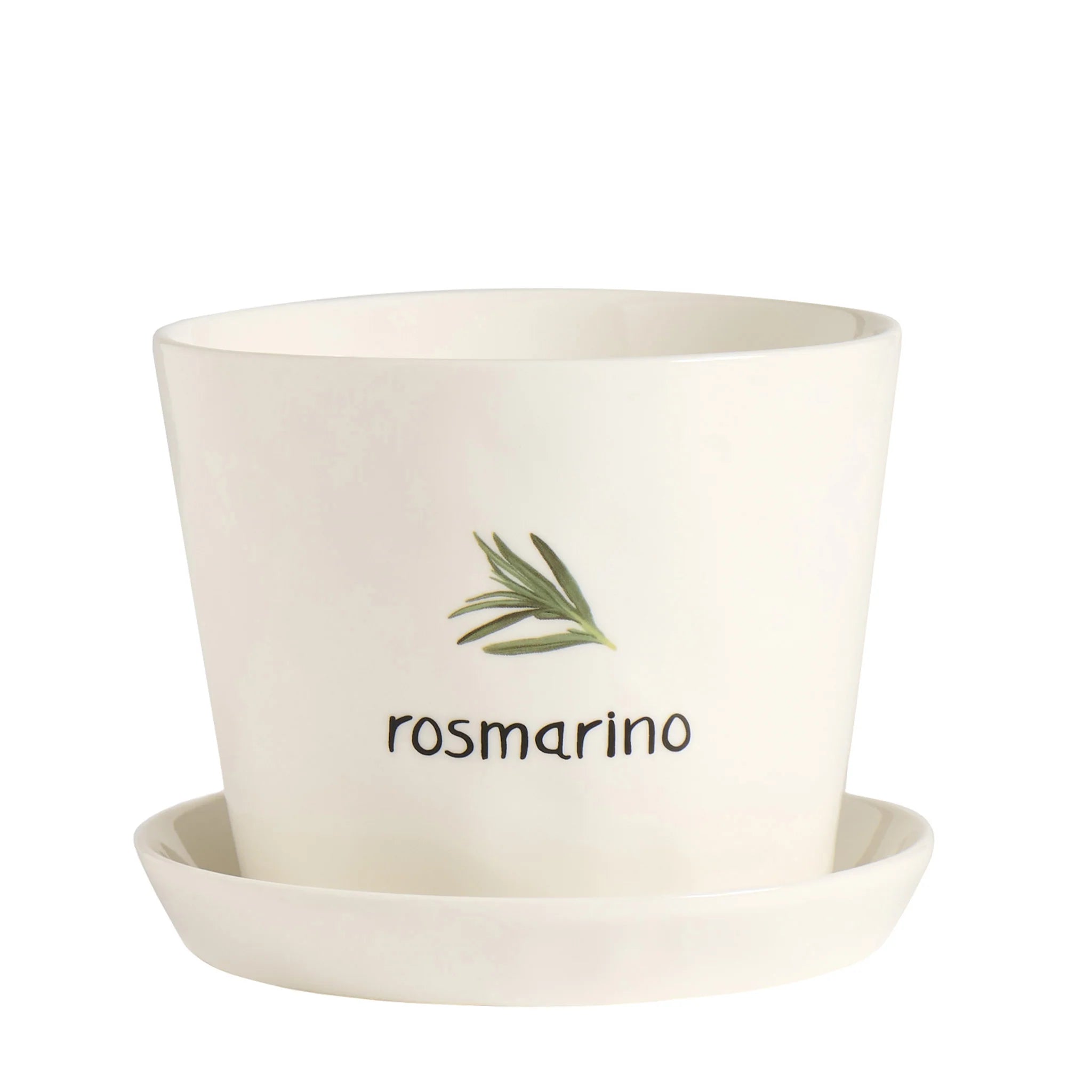Vaso Rosmarino con sottovaso