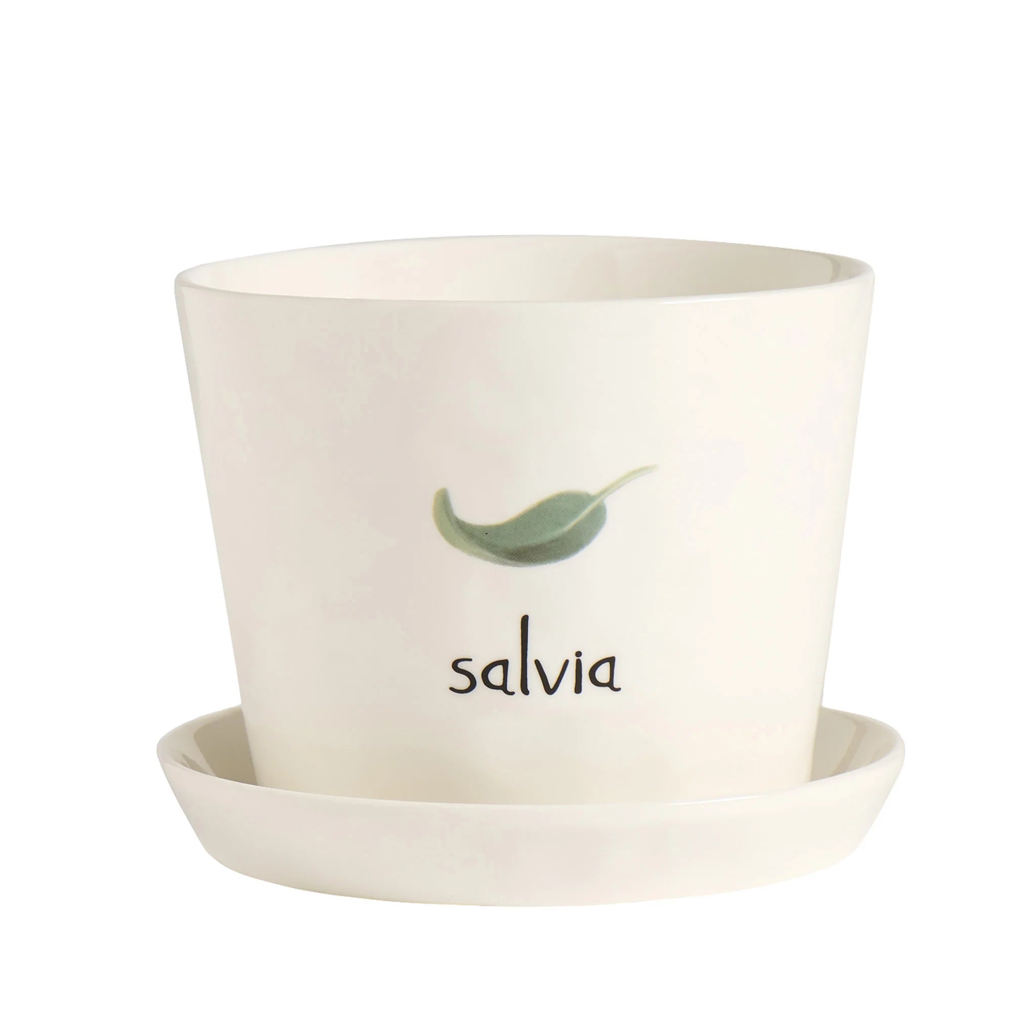 Vaso Salvia con sottovaso