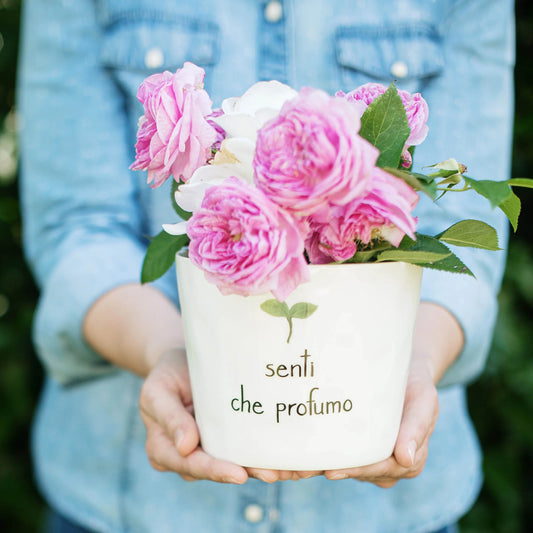Vaso Senti che profumo